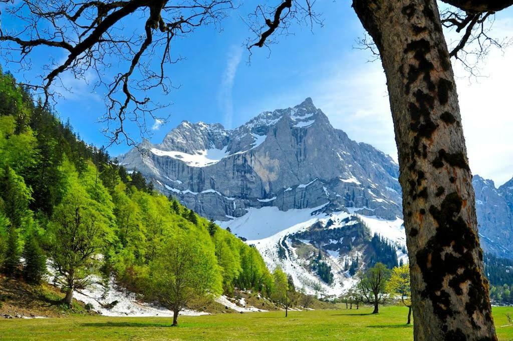 Alpenfreund Apartment Mittenwald Ngoại thất bức ảnh
