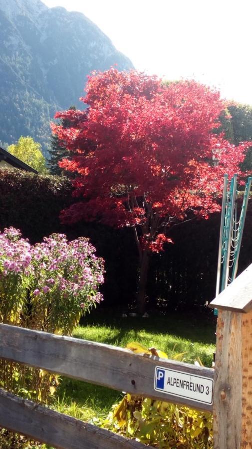 Alpenfreund Apartment Mittenwald Ngoại thất bức ảnh